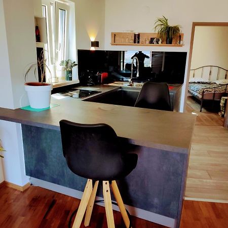 Carmen Sylva Apartment Волоско Екстериор снимка